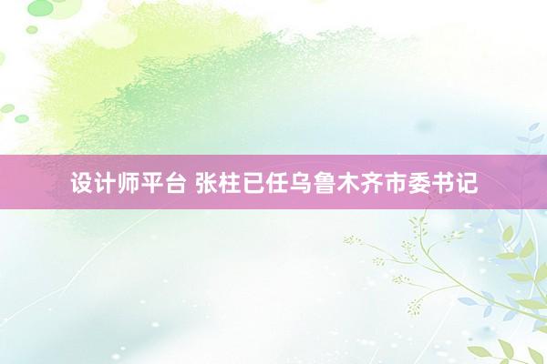 设计师平台 张柱已任乌鲁木齐市委书记